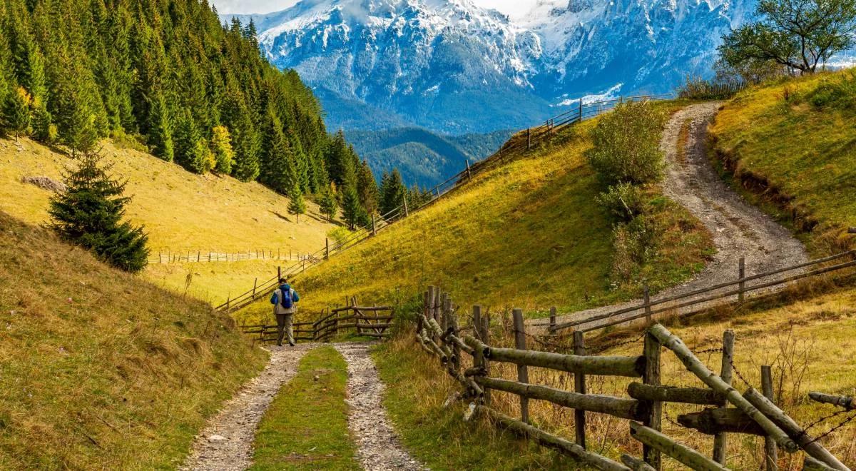 Sześć razy większy od Yellowstone. Czy powstanie Park Karpat? 