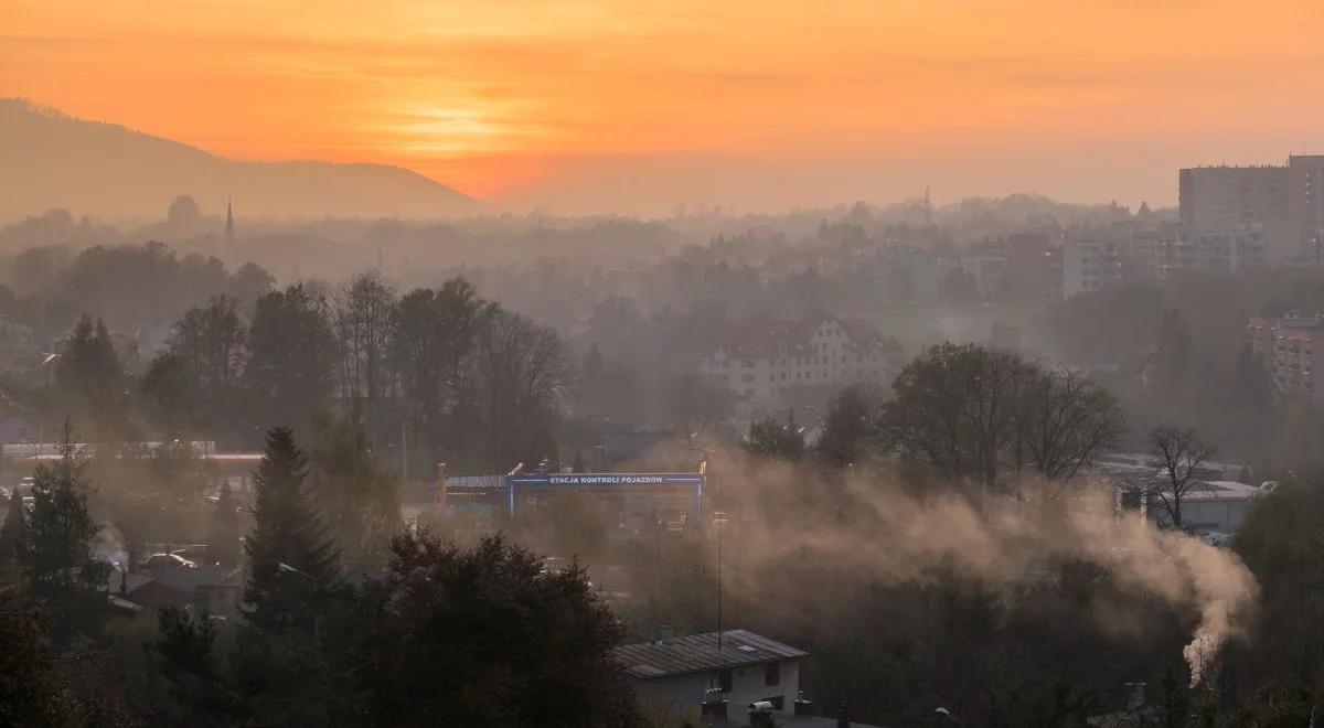 "Czyste powietrze" po nowemu. Część Polaków nie otrzyma dopłat