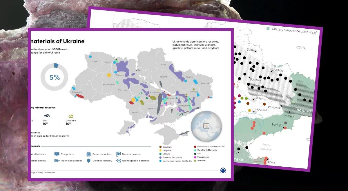 Ile warte są ukraińskie złoża? Kwota robi wrażenie. "Jest o co walczyć"