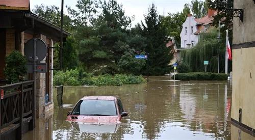 Rząd wprowadza stan klęski żyw...